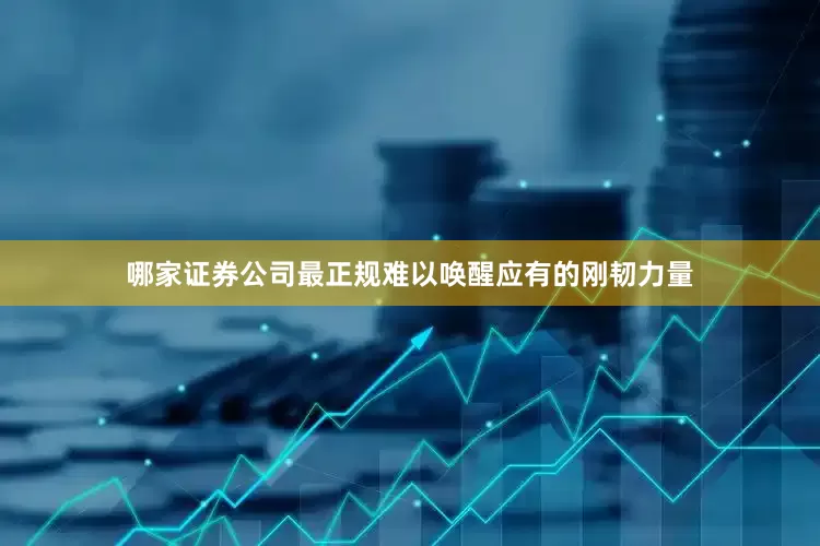 哪家证券公司最正规难以唤醒应有的刚韧力量