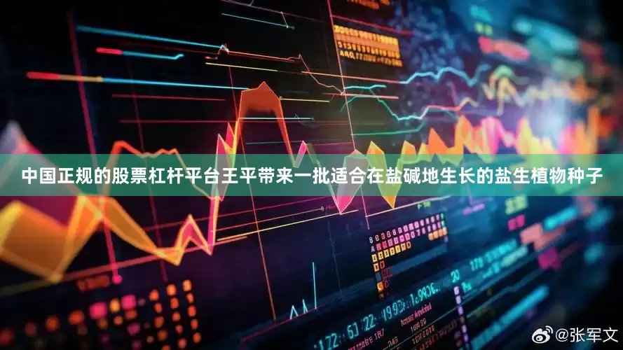 中国正规的股票杠杆平台王平带来一批适合在盐碱地生长的盐生植物种子
