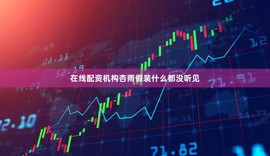 在线配资机构杏雨假装什么都没听见