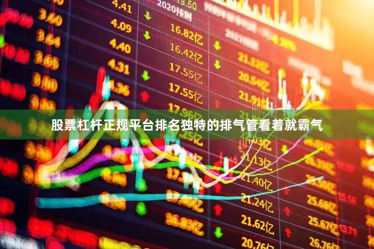 股票杠杆正规平台排名独特的排气管看着就霸气