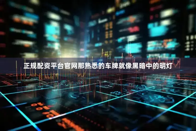 正规配资平台官网那熟悉的车牌就像黑暗中的明灯