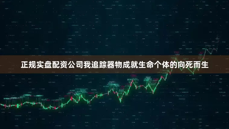 正规实盘配资公司我追踪器物成就生命个体的向死而生